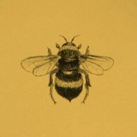 Bee Baker