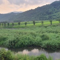 Choel Wung Park