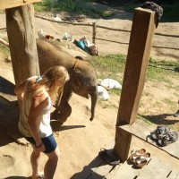 Annelies van der Linde