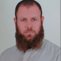 Mostafa Harb