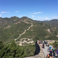 Darlene Fang