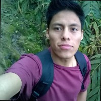 Franco Apaza M.
