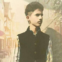 Ansab Malik
