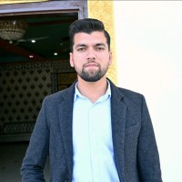 Syed Ali - SEO Expert