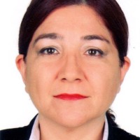 Hulya Akan