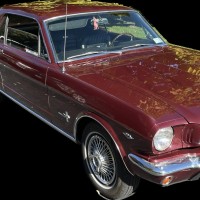 Robert McDowell - CSP, CHMM