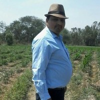 Punkaj Kumar Bhateley