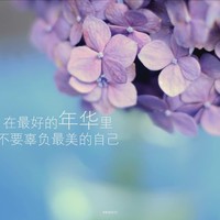 谢洪发