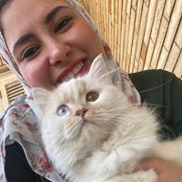 Nouran Nageeb