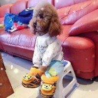 满召龙