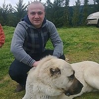 Kerim Sadıkoğlu