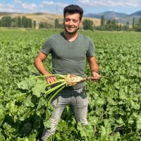 Kemal Nadas