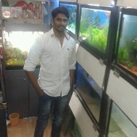 John Ravi