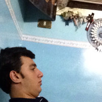 Selmanfidan Fidan