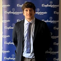 enea zoli
