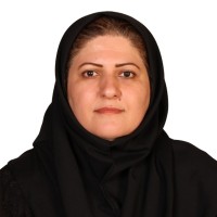 Elham Amiri