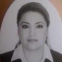 blanca janeth valdez molina