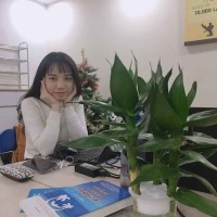 Hồng Dương