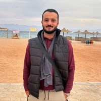 Yasser Hanafi