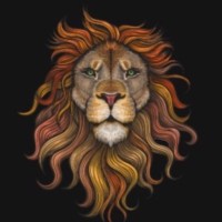 Vida Leon