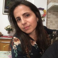 Simone Nobre De Elesbao Martins