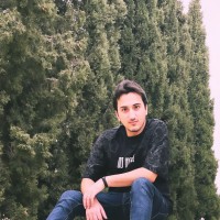 mostafa akbarzadeh