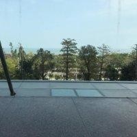 邵安琪