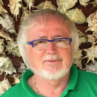 ᖇᗩŞİT TİᗷᕮT