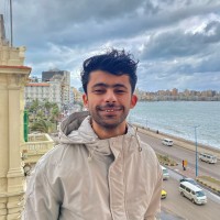 Amr Mostafa