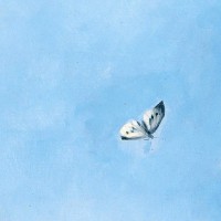 وسام جمال الدين سليمان