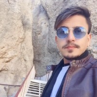 Hammad Habib