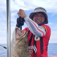 Hardy Rose C.