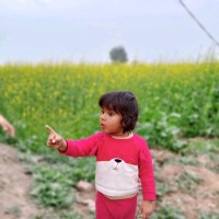 Arfa Nasir