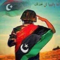 Fouad Sherwi