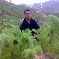 Abdul Aleem Sahil