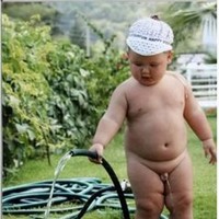 Dhaneesh Kd
