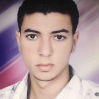 Samir Farouk