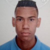 Matheus Henrique Alves Da Silva