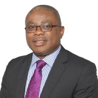 Amadi Nwokocha, Mba,Fca,Cia,Cisa,Cfe,Cipsfr