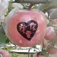 曹振峰