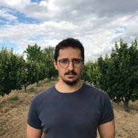 Mert Eriş