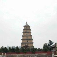 李玉兴