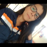 Wriely De Paiva Mendes Do Carmo