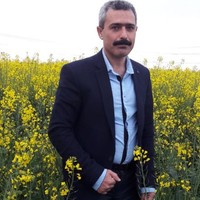 Hossein Tazikeh