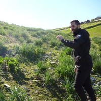 Giuseppe Giurdanella