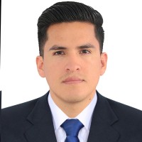 LUIS DAVID GUEVARA BECERRA