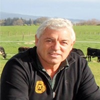 Harry van de ven