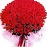 Shubhangi Karad