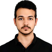 Abdalla S. Abdelhamid