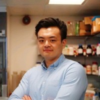 Dingquan Yu